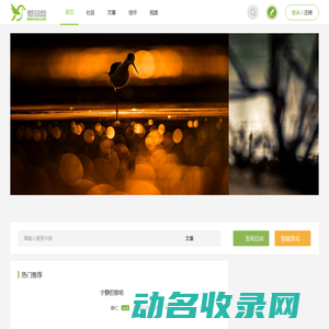 爱鸟网